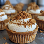No-Bake Biscoff Cheesecake Cups For Quick Dessert